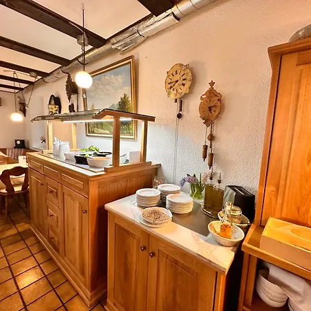 Hotel Engel 3*