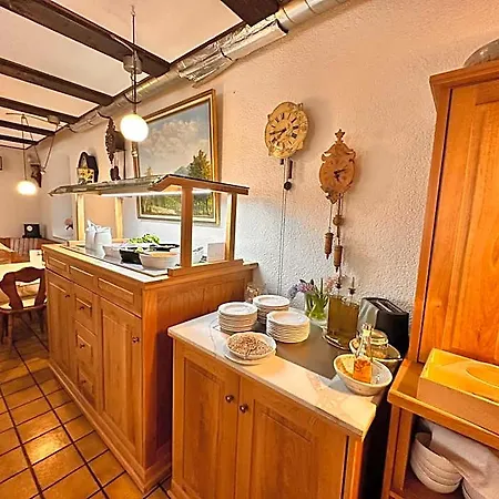 Hotel Engel 3*